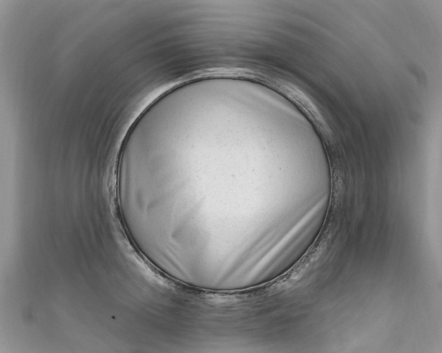 X0000110950852200906261319