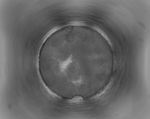 X0000110950853200906261319