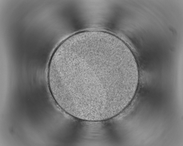 X0000110950856200906261319