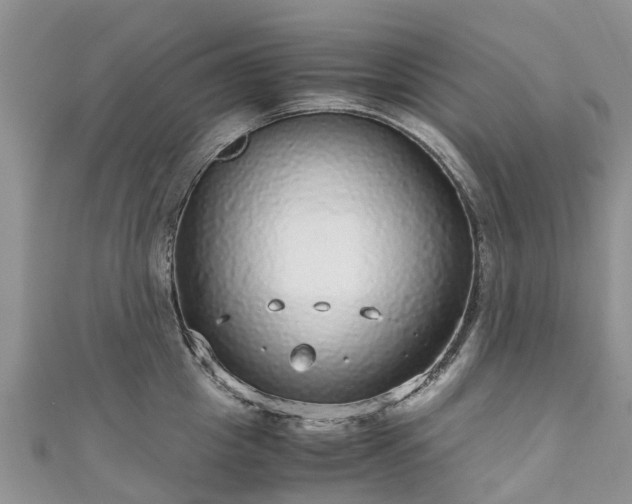 X0000110950857200906261319