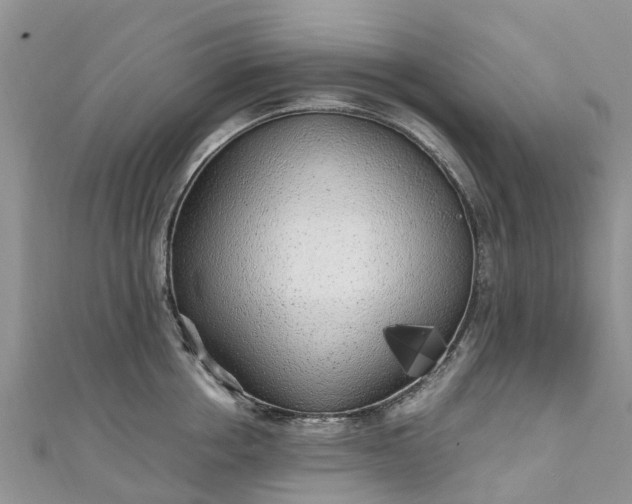 X0000110950858200906261319