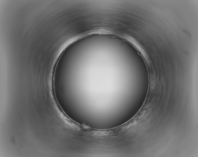 X0000110950861200906261319