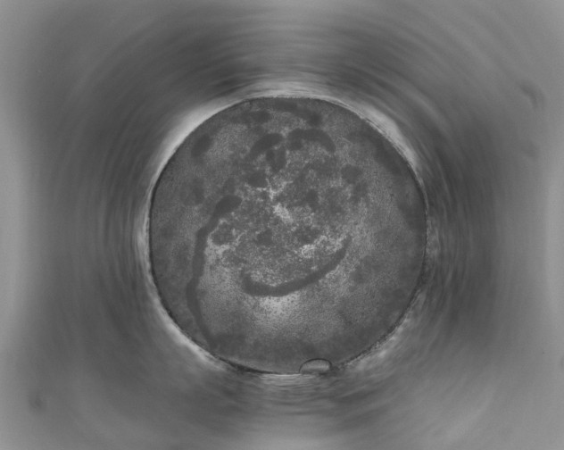 X0000110950863200906261319