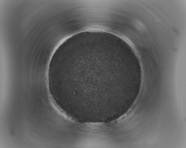 X0000110950864200906261319