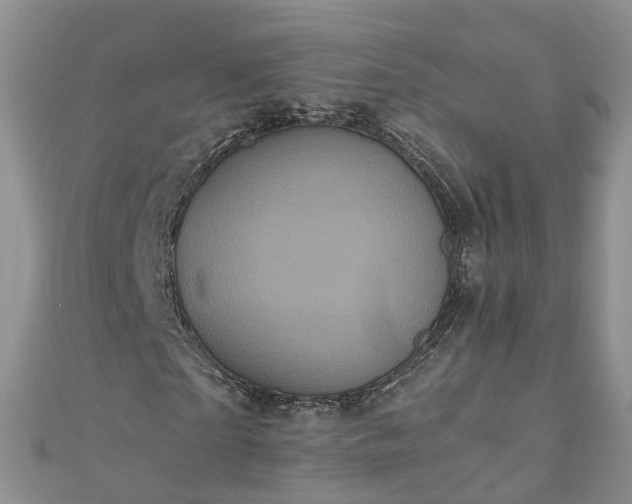 X0000110950865200906261319