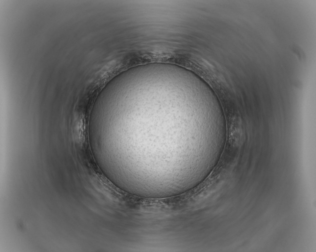 X0000110950866200906261319