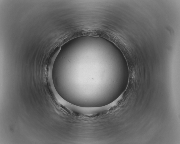 X0000110950868200906261319