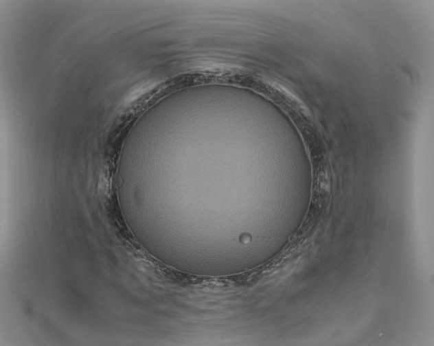 X0000110950869200906261319