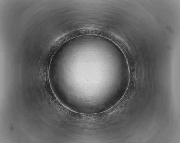 X0000110950870200906261319