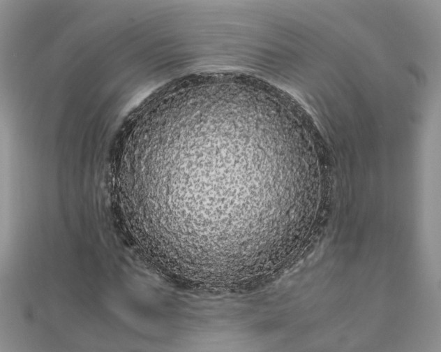 X0000110950871200906261319