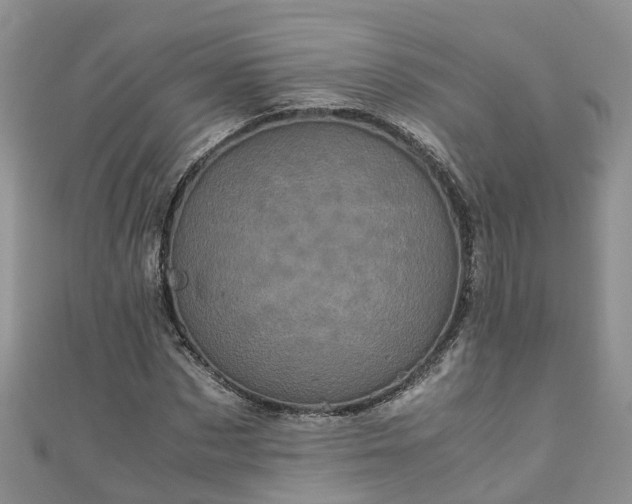 X0000110950873200906261319