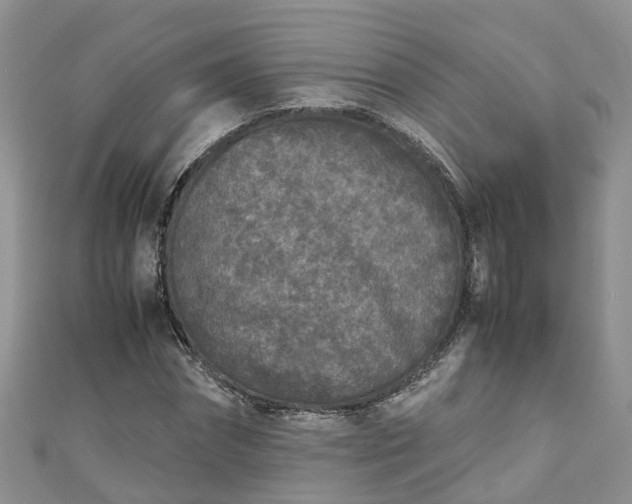 X0000110950874200906261319