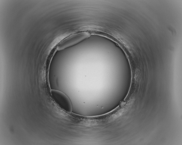 X0000110950877200906261319