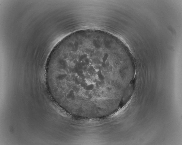 X0000110950879200906261319