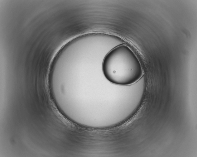 X0000110950880200906261318
