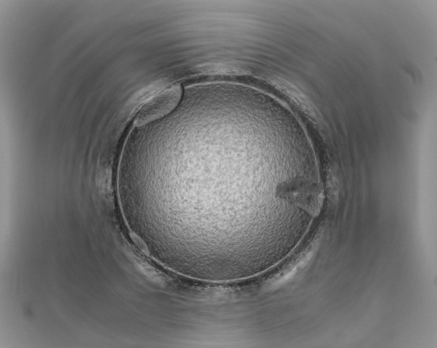 X0000110950881200906261318