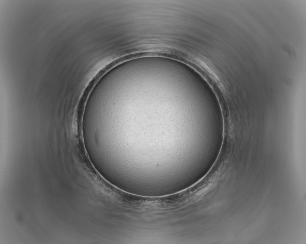 X0000110950883200906261318