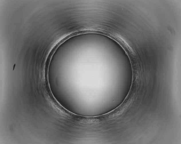 X0000110950884200906261318