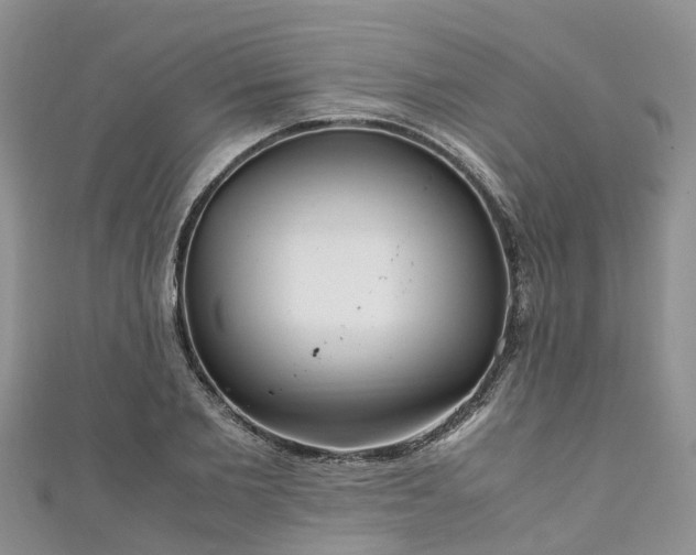 X0000110950885200906261318
