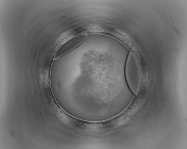 X0000110950889200906261318