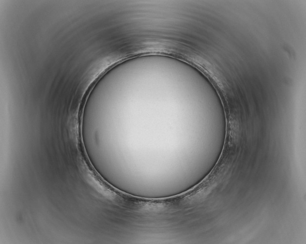 X0000110950890200906261318