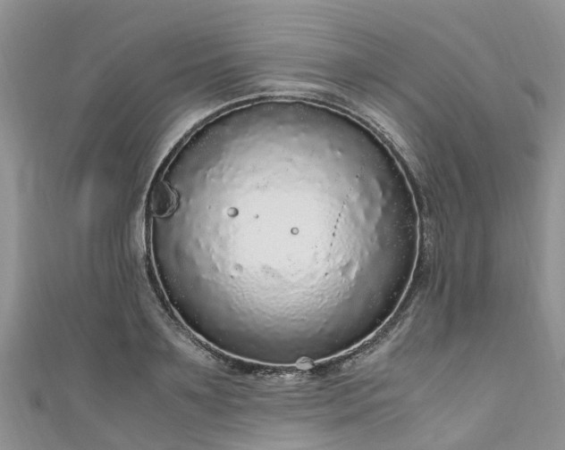 X0000110950891200906261318