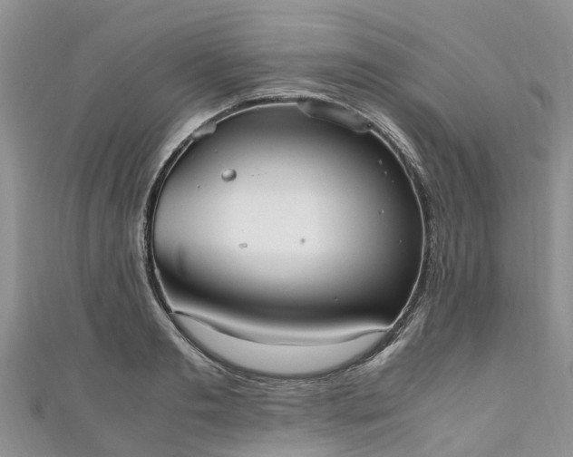 X0000110950893200906261318
