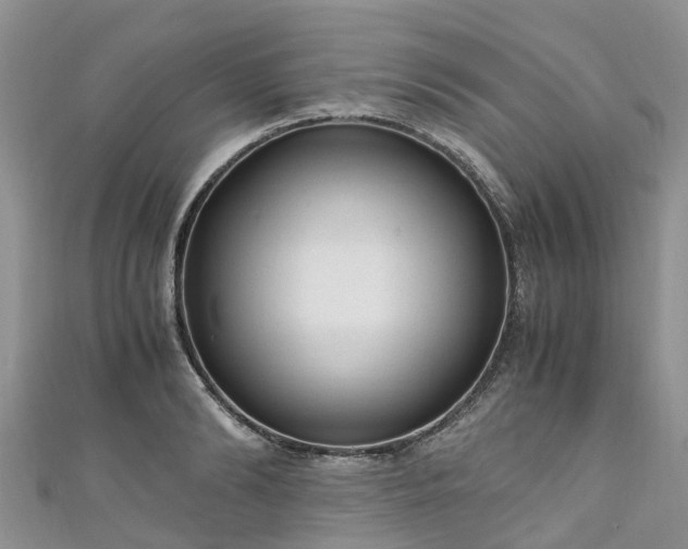 X0000110950894200906261318