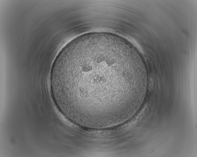 X0000110950895200906261318