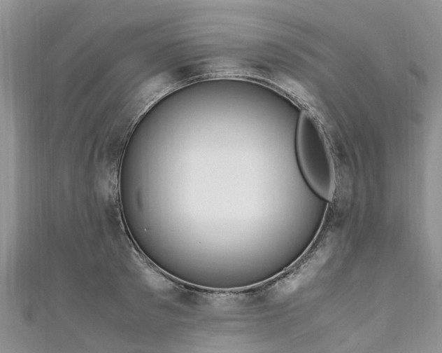 X0000110950897200906261318