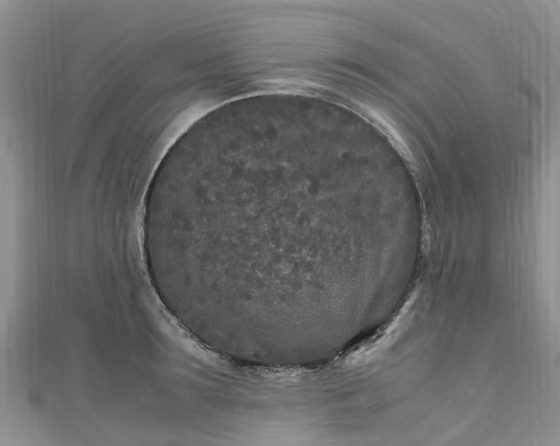 X0000110950899200906261318