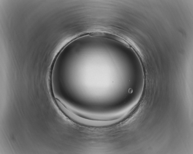 X0000110950901200906261318