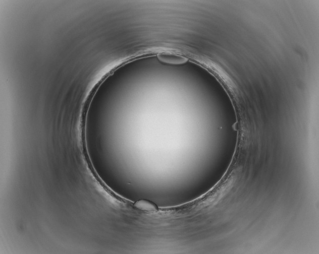X0000110950902200906261318