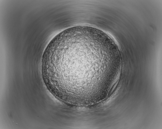 X0000110950903200906261318