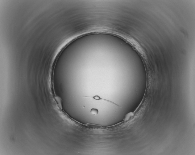 X0000110950904200906261318