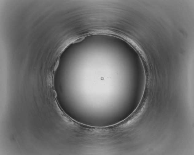 X0000110950905200906261318