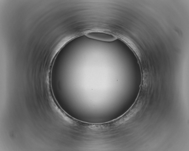 X0000110950906200906261318