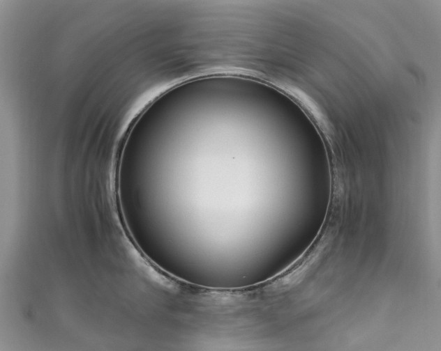 X0000110950910200906261318