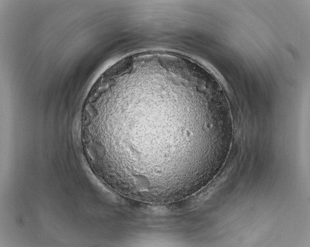 X0000110950911200906261318