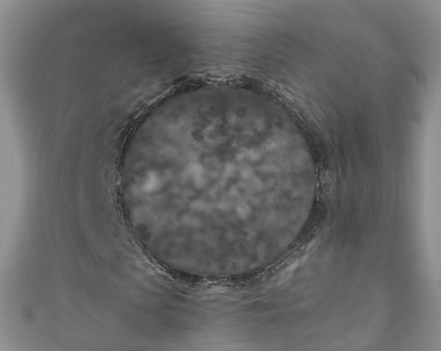 X0000110950913200906261317