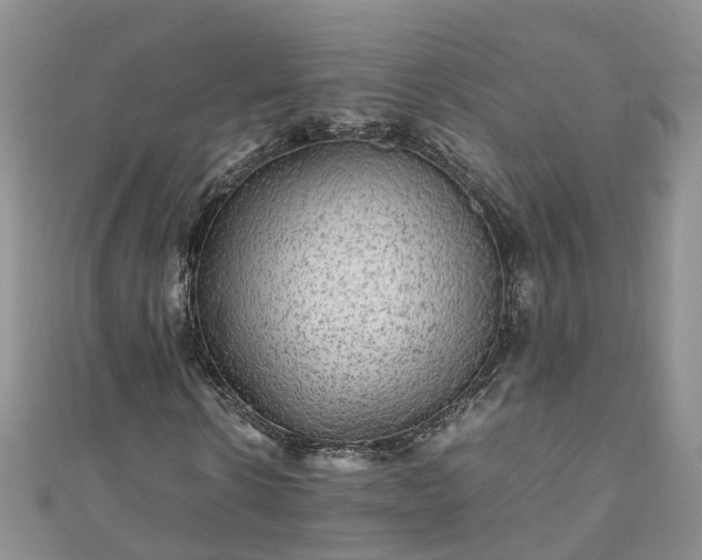 X0000110950914200906261317