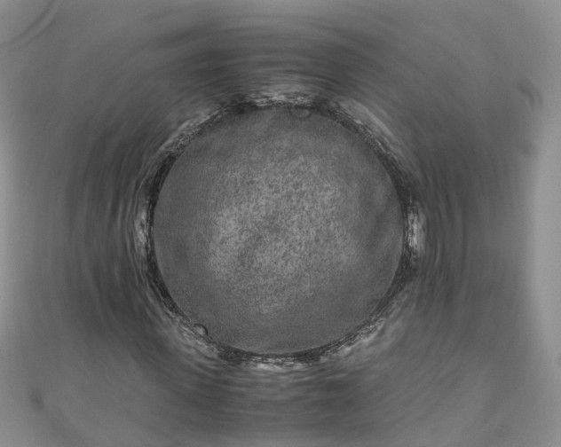 X0000110950915200906261317