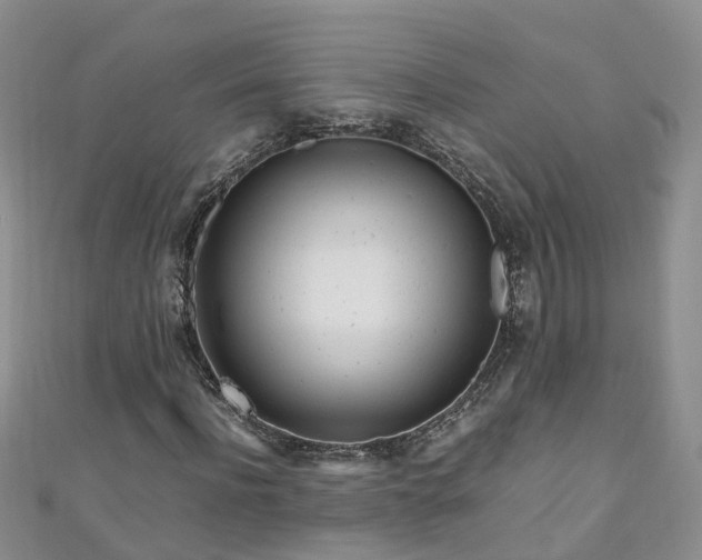 X0000110950916200906261318