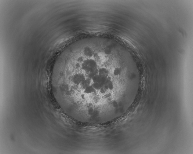 X0000110950917200906261318