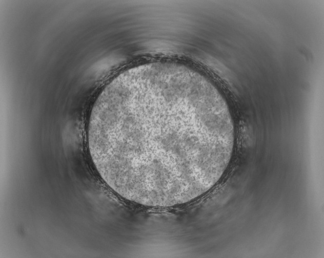 X0000110950918200906261318