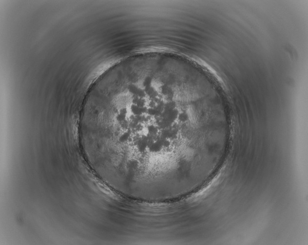X0000110950921200906261318
