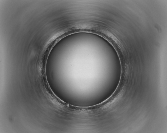 X0000110950922200906261318