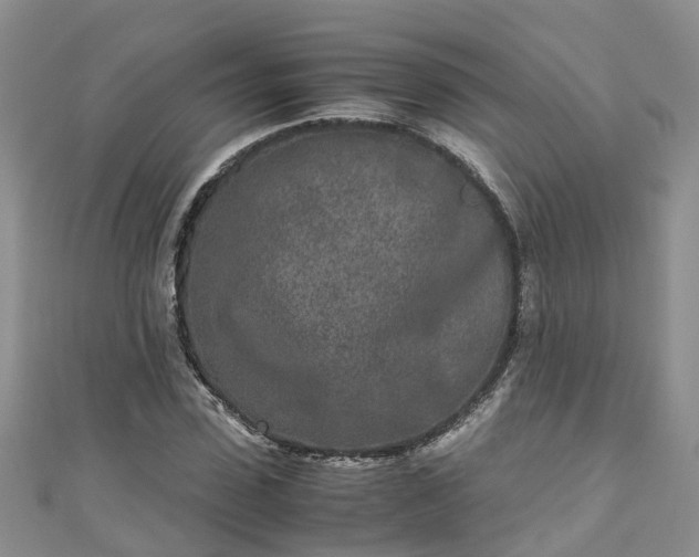 X0000110950923200906261318