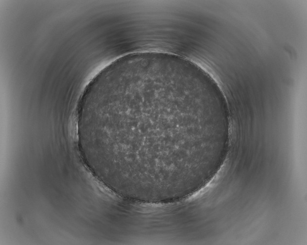 X0000110950925200906261318
