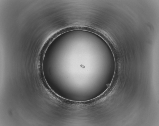 X0000110950926200906261318